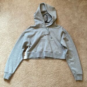 Aritzia cropped gray hoodie XS NWT